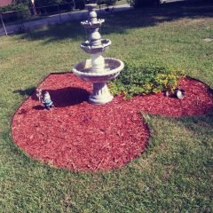 Property Maintenance